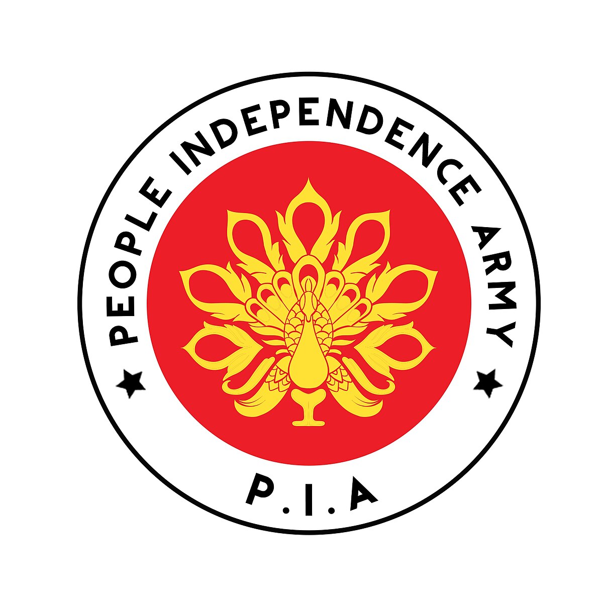 PIO/PIA
